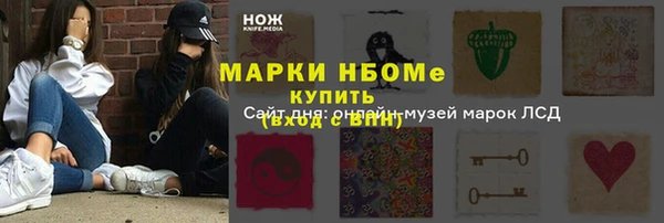 мдпв Горнозаводск