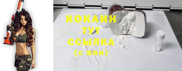 мдпв Горнозаводск