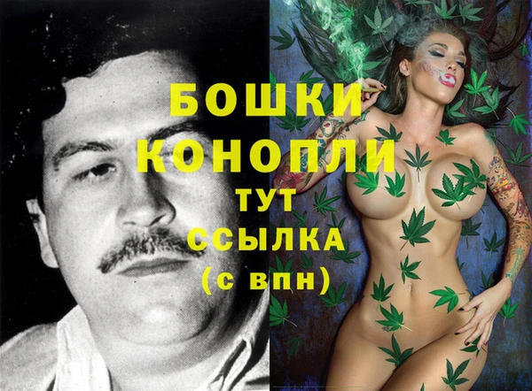 мдпв Горнозаводск