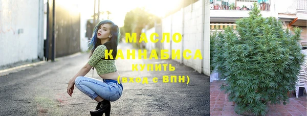 мдпв Горнозаводск