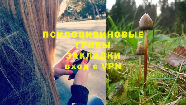 мдпв Горнозаводск