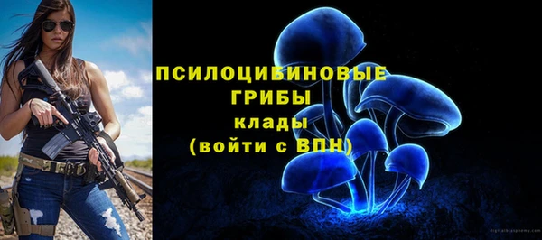 ALPHA PVP Горно-Алтайск