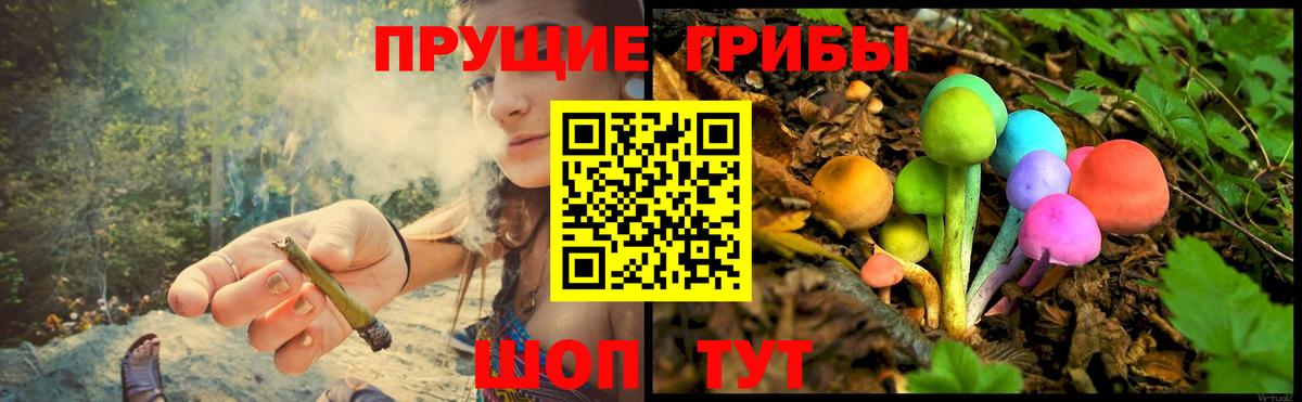 Галлюциногенные грибы GOLDEN TEACHER  Вход с VPN  Мценск 